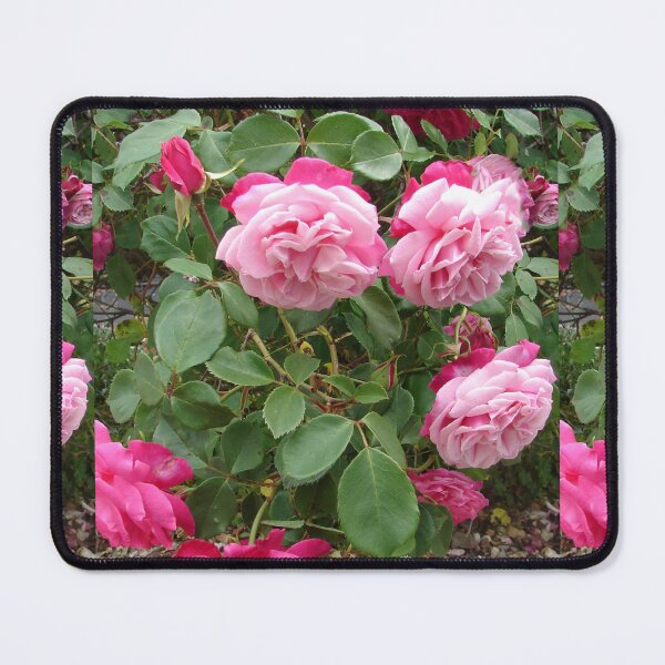 Item preview, Pink Vintage Rose Flower Photo designed and sold by Sarah Rajkotwala.