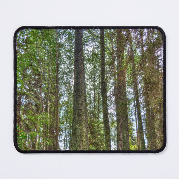 Item preview, Gull Lake Back Yard Portrait designed and sold by ColdCreekCanvas.