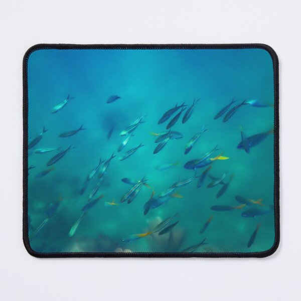 Item preview, Fish, Low Isles, Australia designed and sold by Kate Powick.