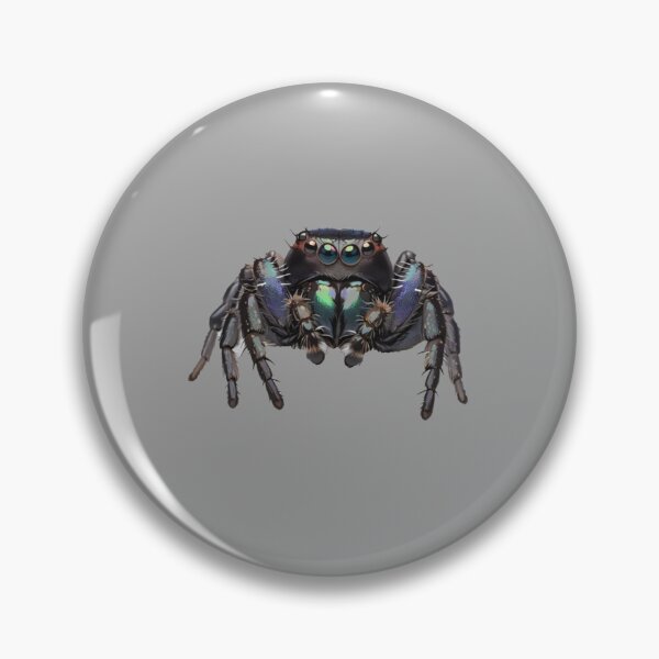 Item preview, Jumping Spider designed and sold by Atlantico54.