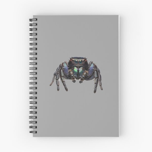 Item preview, Jumping Spider designed and sold by Atlantico54.