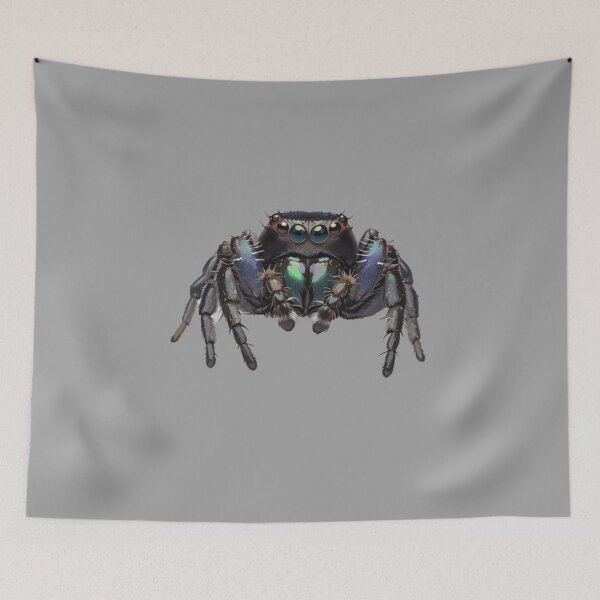 Item preview, Jumping Spider designed and sold by Atlantico54.