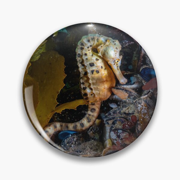 Item preview, Big Belly Seahorse designed and sold by Russell Charters.