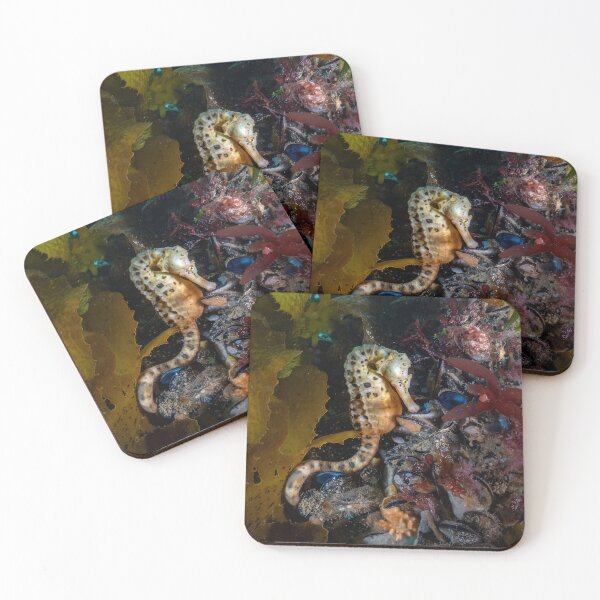 Item preview, Big Belly Seahorse designed and sold by Russell Charters.
