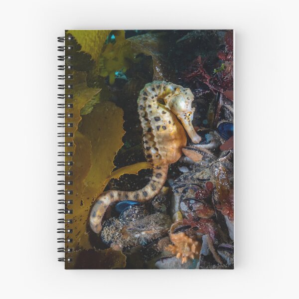 Item preview, Big Belly Seahorse designed and sold by Russell Charters.