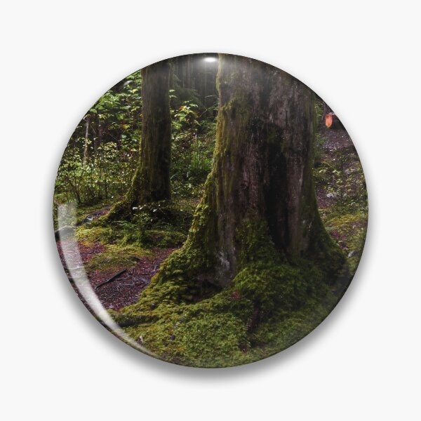 Item preview, Pathfinder designed and sold by Steve Walser.