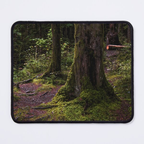 Item preview, Pathfinder designed and sold by Steve Walser.