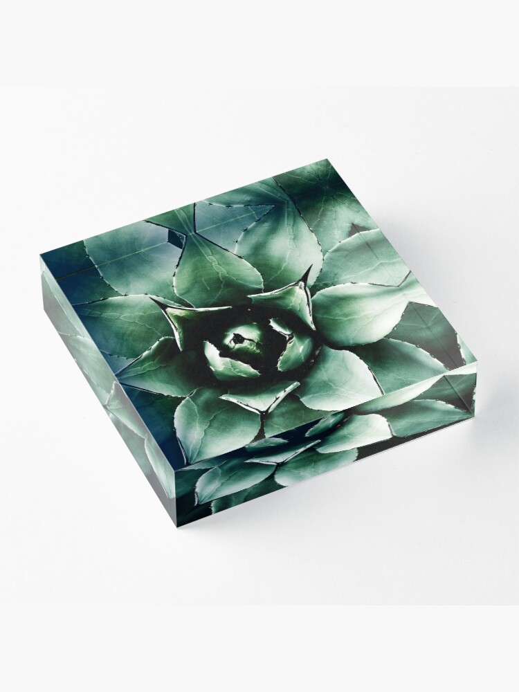 Alternate view of Agave Parryi (Tequila Agave) Acrylic Block