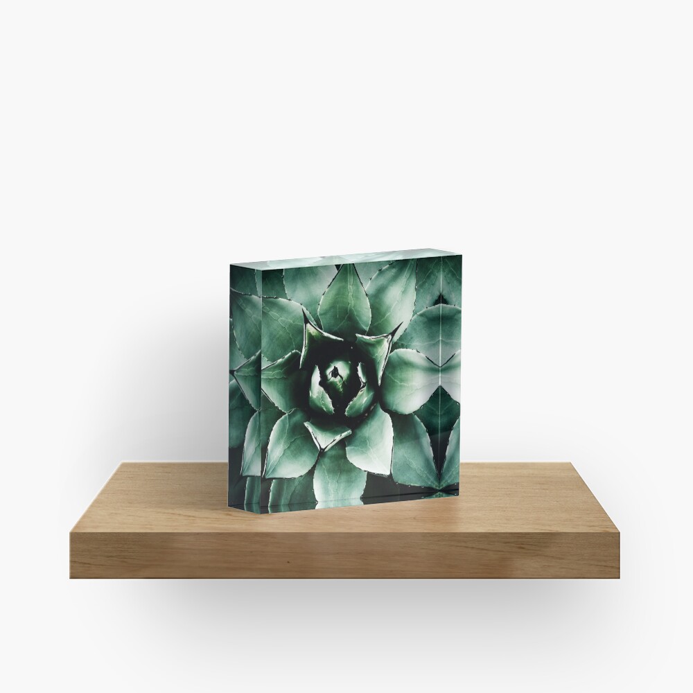 Agave Parryi (Tequila Agave) Acrylic Block