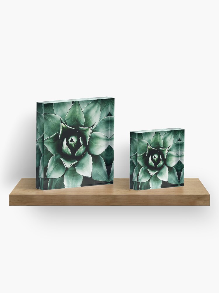 Alternate view of Agave Parryi (Tequila Agave) Acrylic Block