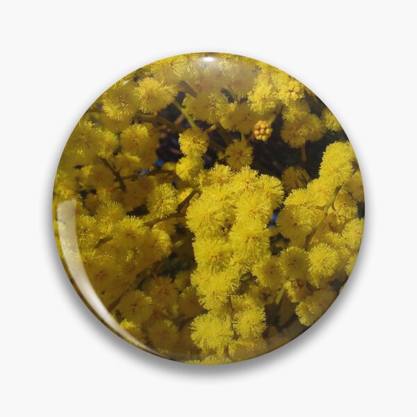 Item preview, Sydney Green Wattle  designed and sold by Arcane Botanica.