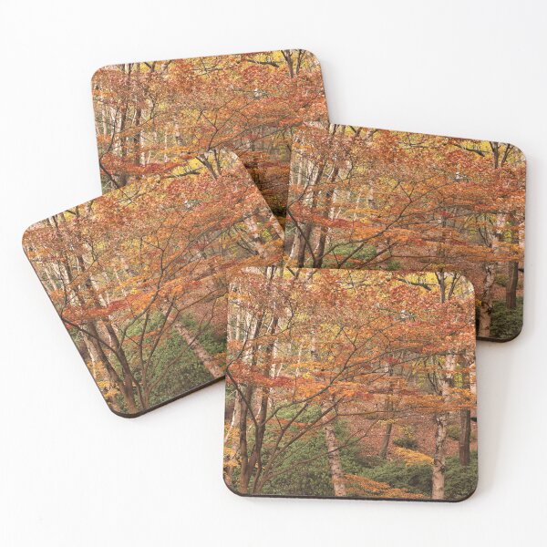 Item preview, Orange, red and gold of autumn trees in the Adelaide Hills designed and sold by FranWest.