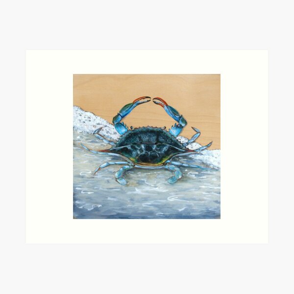 Blue Crab Pattern Saltwater Fly Fishing Art Print