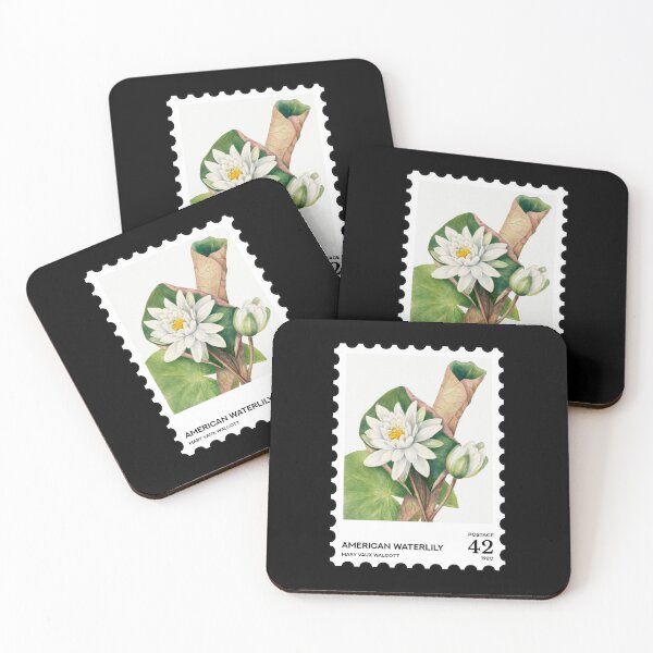 Item preview, Waterlily Stamp, Mary Vaux Walcott stamp designed and sold by RabbitK.