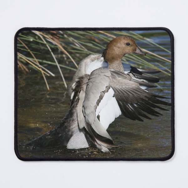 Item preview, Winging It designed and sold by Phillip Weyers.