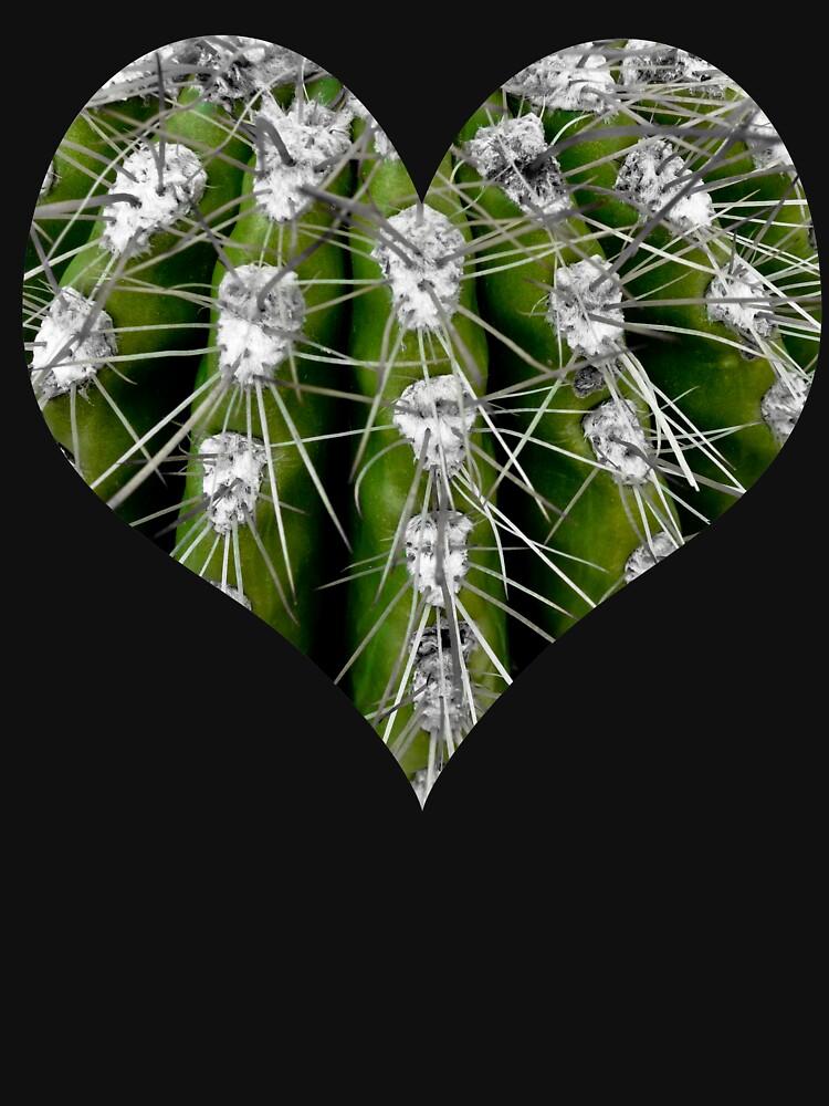 Prickly Cactus by gardenpictures