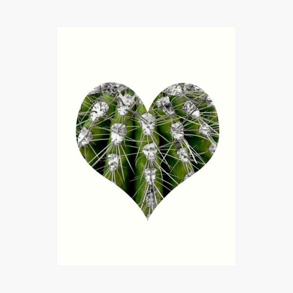 Prickly Cactus Art Print