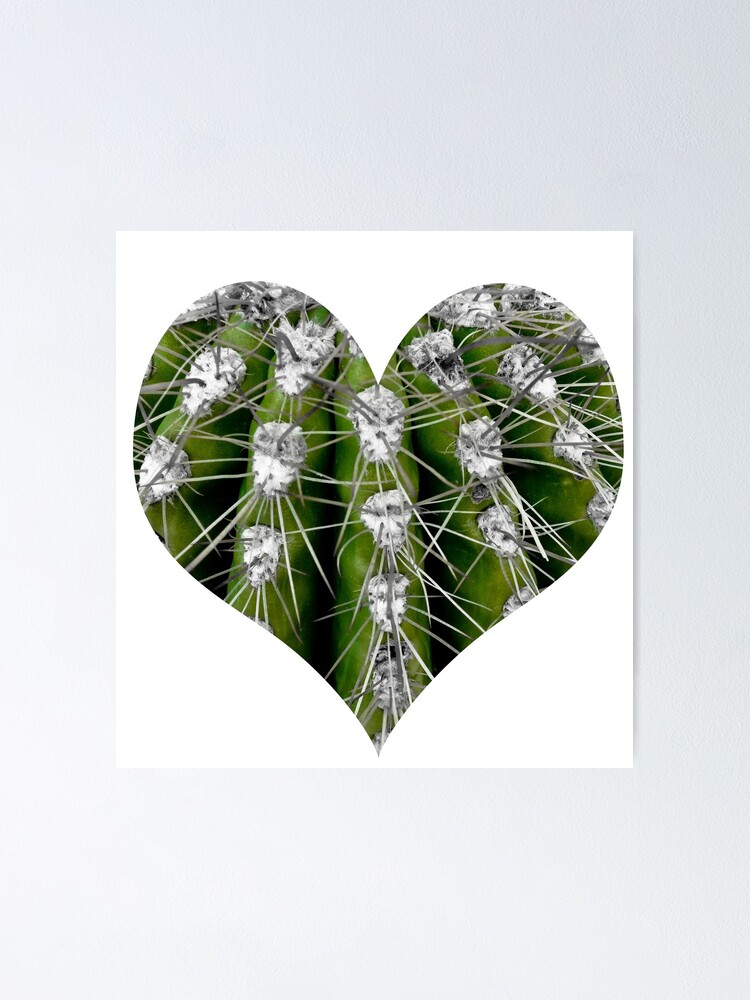 Alternate view of Prickly Cactus Poster