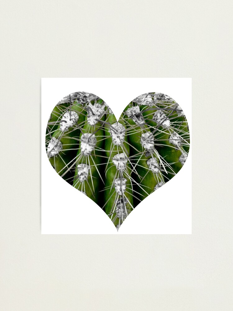 Alternate view of Prickly Cactus Photographic Print