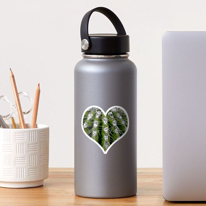 Prickly Cactus Sticker