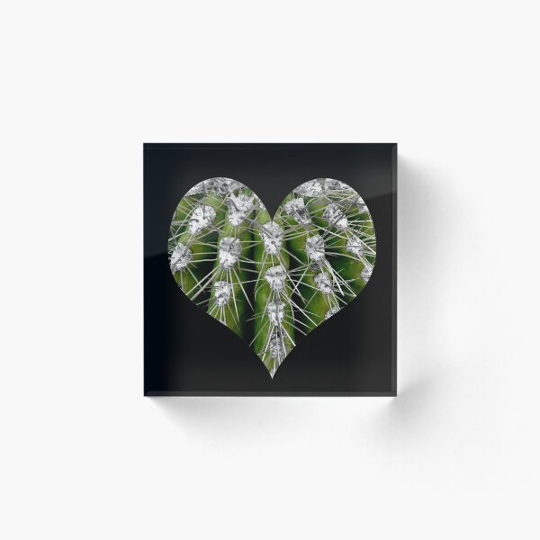 Prickly Cactus Acrylic Block