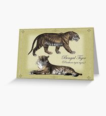 Bengal Tigers Greeting Card