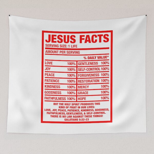 Item preview, Jesus facts designed and sold by plushism.