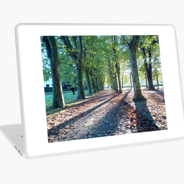 Autumn in The Park, Doneztebe/Santesteban, Navarra (Spain). Laptop Skin