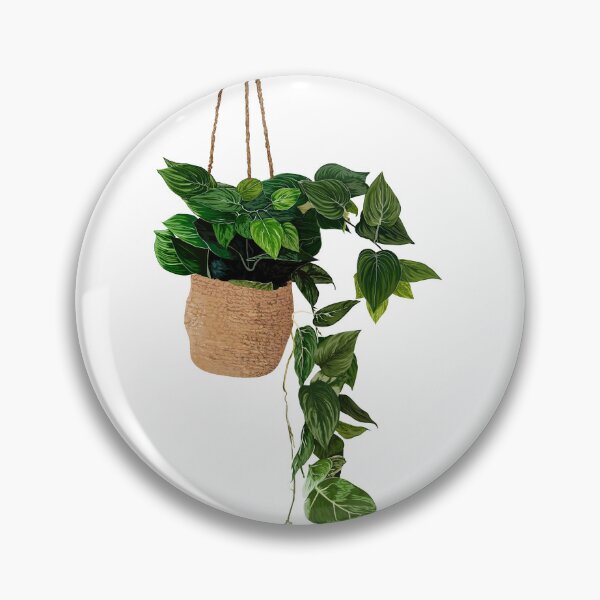 Item preview, Hanging Pothos Plant  designed and sold by supriyo-art.