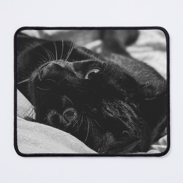 Item preview, The Littlest Panther designed and sold by Phil Bothwell Photography.
