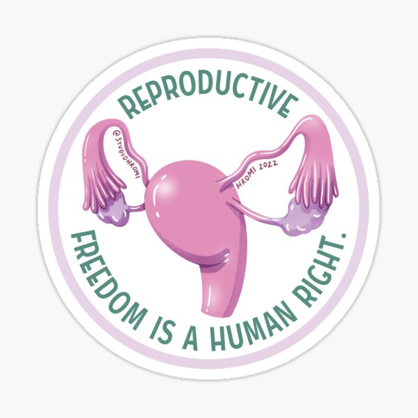 Reproductive Freedom is a Human Right Sticker