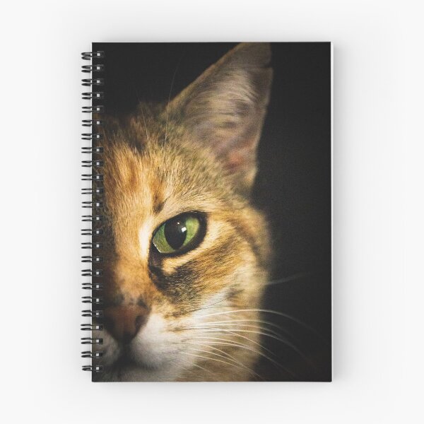 Item preview, Look at me designed and sold by RUUBYS.