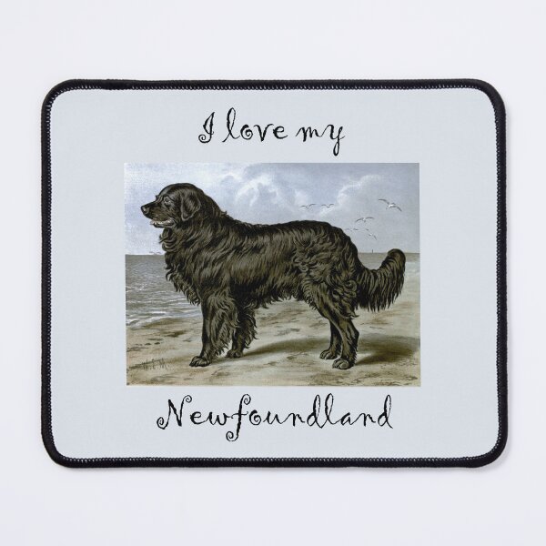 Item preview, I love my Newfoundland Watercolor from Vero Shaw (1881) Illustrated Book of the Dog - black text designed and sold by ElegantTeaTime.