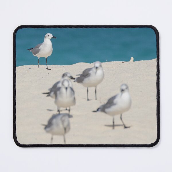 Item preview, Laughing Gull designed and sold by LaurenTucker.