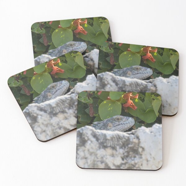 Item preview, Green Iguana designed and sold by LaurenTucker.
