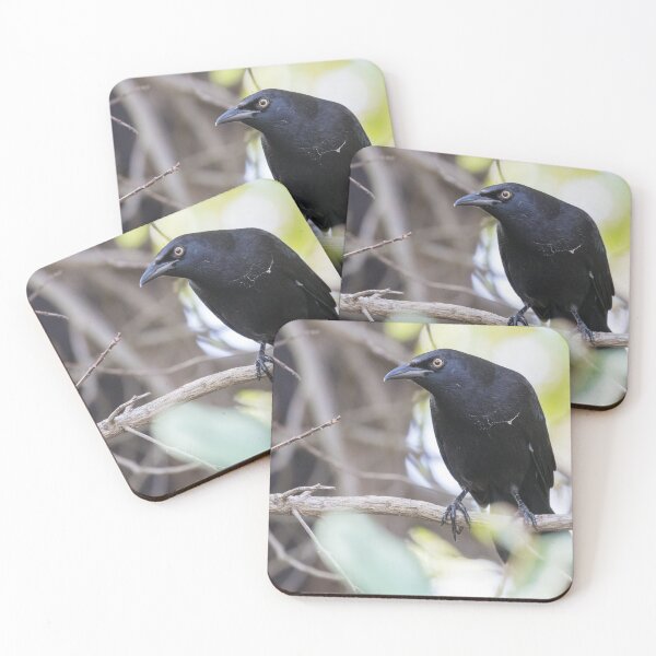 Item preview, Carib Grackle designed and sold by LaurenTucker.