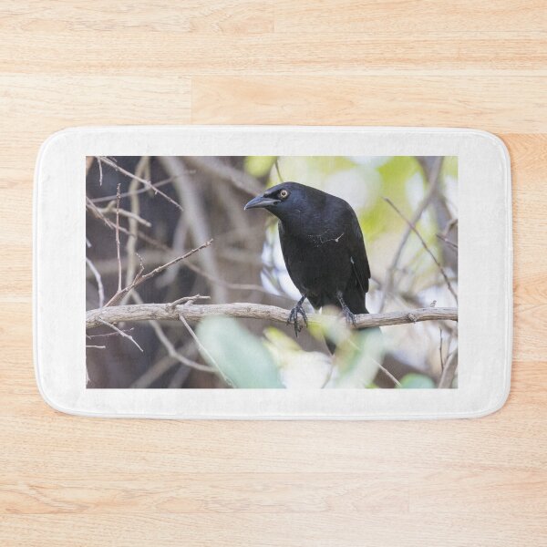 Item preview, Carib Grackle designed and sold by LaurenTucker.
