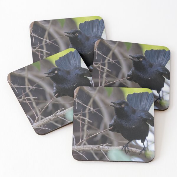 Item preview, Carib Grackle designed and sold by LaurenTucker.