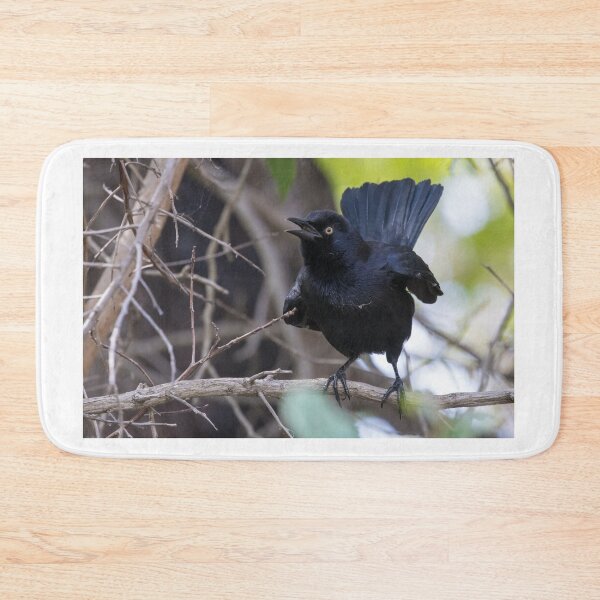 Item preview, Carib Grackle designed and sold by LaurenTucker.