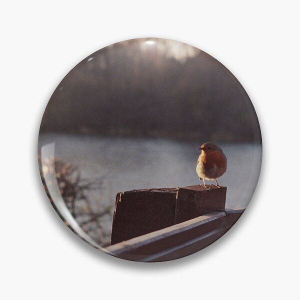 Item preview, Robin on a Fencepost designed and sold by Phil Bothwell Photography.