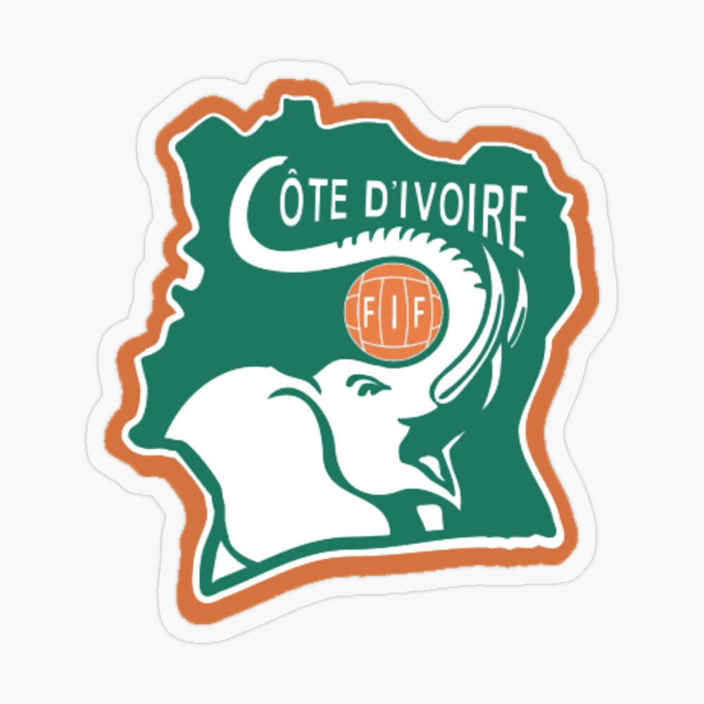 Côte d'Ivoire : Didier Drogba nommé à la Fédération Ivoirienne de Football - Mega Sports