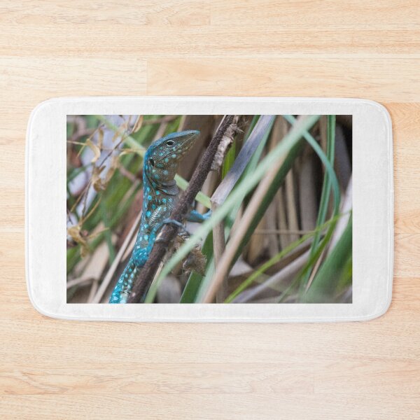 Item preview, Aruban Whiptail Lizard designed and sold by LaurenTucker.