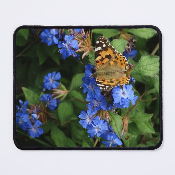 Item preview, Painted Lady butterfly on blue flowers designed and sold by TwistedClassics.