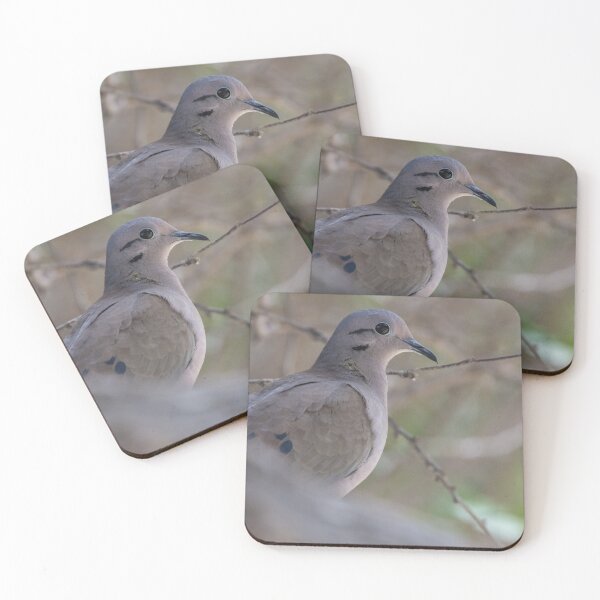 Item preview, Eared Dove designed and sold by LaurenTucker.