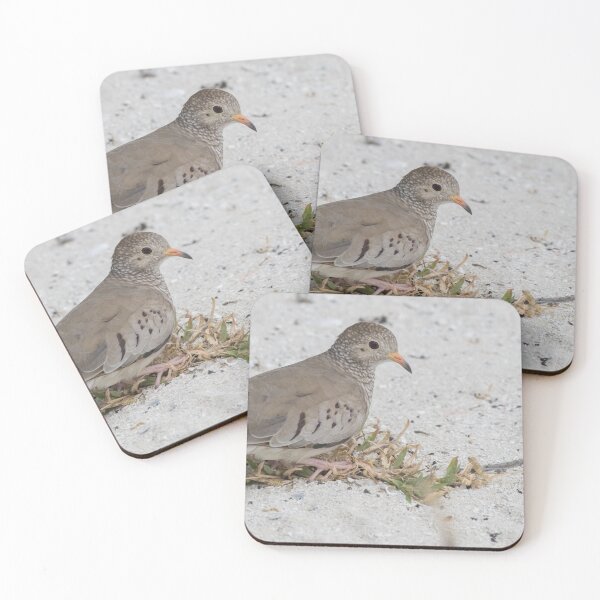 Item preview, Common Ground Dove designed and sold by LaurenTucker.