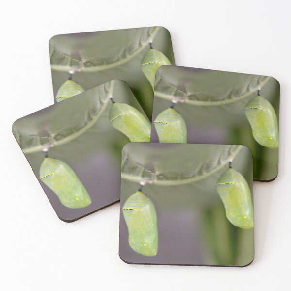 Item preview, Two green monarch chrysalis designed and sold by sarahjeanphoto.