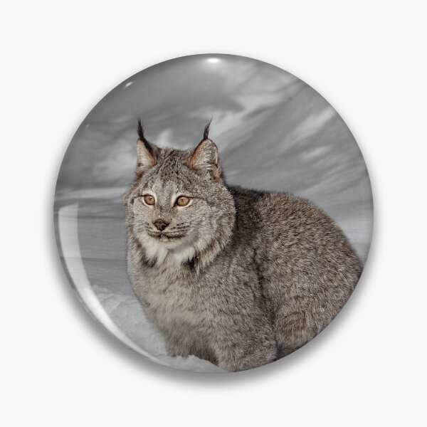 Artikelvorschau, Luchs im Morgenlicht entworfen und verkauft von WesDotPhotography.
