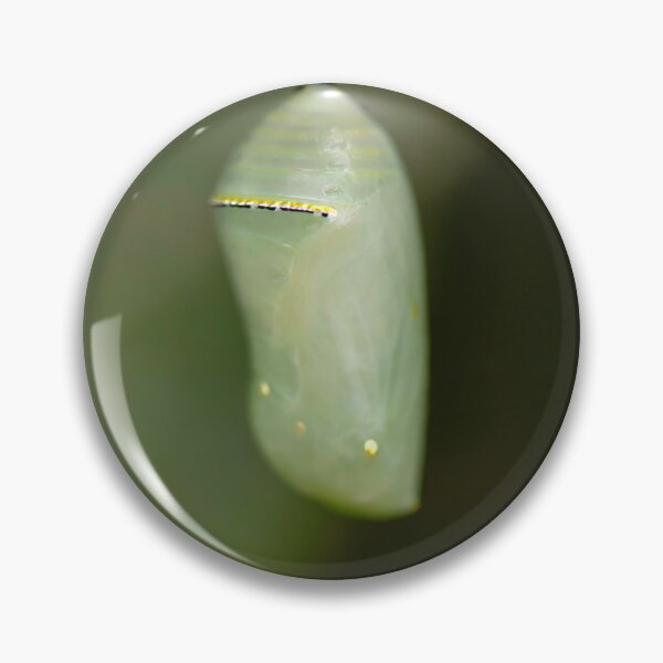 Item preview, Green Monarch Chrysalis designed and sold by sarahjeanphoto.