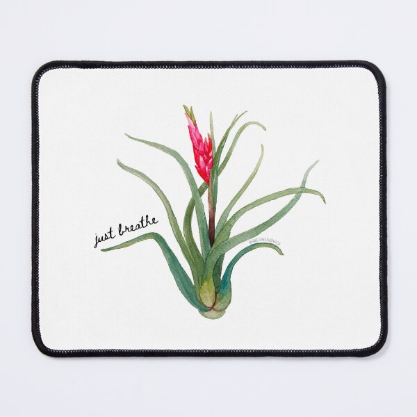 Item preview, Just Breath Air Plant Design designed and sold by yellow405.