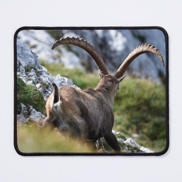 Item preview, "I have to go" designed and sold by Andreas Koerner.